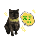 ノアちゃんの1日（個別スタンプ：12）