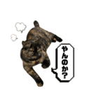 ノアちゃんの1日（個別スタンプ：13）