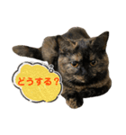 ノアちゃんの1日（個別スタンプ：16）