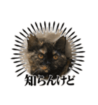 ノアちゃんの1日（個別スタンプ：18）