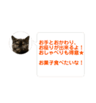 ノアちゃんの1日（個別スタンプ：23）