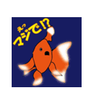 金魚なスタンプ（個別スタンプ：5）