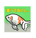 金魚なスタンプ（個別スタンプ：7）