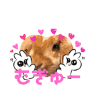 うさふぁむ（個別スタンプ：9）