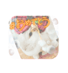 うさふぁむ（個別スタンプ：13）