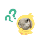 うさふぁむ（個別スタンプ：15）