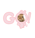 うさふぁむ（個別スタンプ：18）