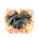 うさふぁむ（個別スタンプ：19）