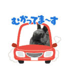 うさふぁむ（個別スタンプ：21）