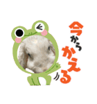 うさふぁむ（個別スタンプ：22）