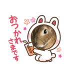 うさふぁむ（個別スタンプ：23）