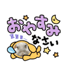 うさふぁむ（個別スタンプ：24）