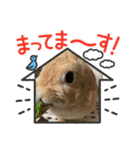 うさふぁむ（個別スタンプ：27）