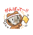 うさふぁむ（個別スタンプ：28）