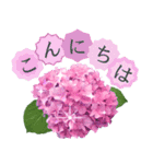 飛び出す♡大人の気遣い敬語〜紫陽花〜（個別スタンプ：2）