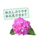 飛び出す♡大人の気遣い敬語〜紫陽花〜（個別スタンプ：3）