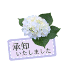 飛び出す♡大人の気遣い敬語〜紫陽花〜（個別スタンプ：8）