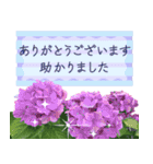 飛び出す♡大人の気遣い敬語〜紫陽花〜（個別スタンプ：10）