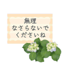 飛び出す♡大人の気遣い敬語〜紫陽花〜（個別スタンプ：13）