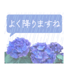 飛び出す♡大人の気遣い敬語〜紫陽花〜（個別スタンプ：18）