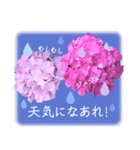 飛び出す♡大人の気遣い敬語〜紫陽花〜（個別スタンプ：19）