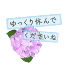 飛び出す♡大人の気遣い敬語〜紫陽花〜（個別スタンプ：21）