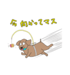 ジョセフィーヌの日常スタンプ（個別スタンプ：10）