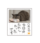 推しのフクちゃん（個別スタンプ：7）