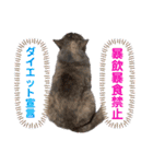 推しのフクちゃん（個別スタンプ：10）