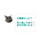 推しのフクちゃん（個別スタンプ：12）