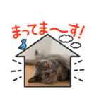 推しのフクちゃん（個別スタンプ：15）