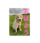 サモリバーすあま（個別スタンプ：2）