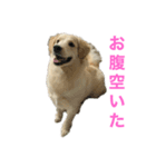 サモリバーすあま（個別スタンプ：3）