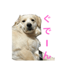 サモリバーすあま（個別スタンプ：4）