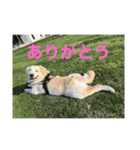 サモリバーすあま（個別スタンプ：7）