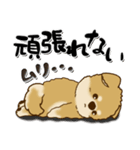 柴犬・ちゃちゃ丸 40『ネガティブ』（個別スタンプ：4）