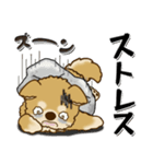 柴犬・ちゃちゃ丸 40『ネガティブ』（個別スタンプ：16）