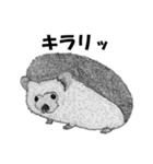 手描きの小動物（個別スタンプ：7）