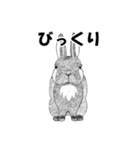 手描きの小動物（個別スタンプ：8）