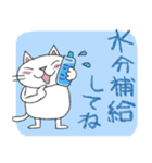 Juns 猫の夏の毎日（個別スタンプ：8）