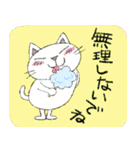 Juns 猫の夏の毎日（個別スタンプ：31）