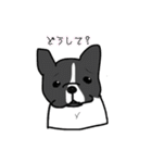 フレンチブルドッグのじゅーちゃん（個別スタンプ：33）