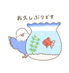 すこやかインコ 夏の思い出（個別スタンプ：37）