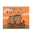 おはなしタヌキくん5（個別スタンプ：13）