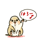 ジリスちゃんフキダシLINEスタンプ（個別スタンプ：1）