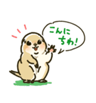 ジリスちゃんフキダシLINEスタンプ（個別スタンプ：3）