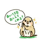 ジリスちゃんフキダシLINEスタンプ（個別スタンプ：5）