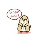 ジリスちゃんフキダシLINEスタンプ（個別スタンプ：6）