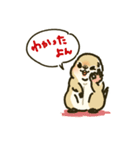 ジリスちゃんフキダシLINEスタンプ（個別スタンプ：7）