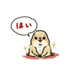 ジリスちゃんフキダシLINEスタンプ（個別スタンプ：8）